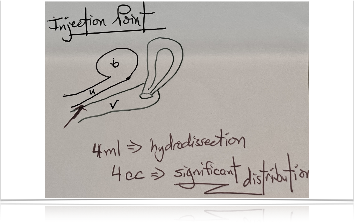 Section 2. Mid-Urethral Sling Induced Sexual Dysfunction